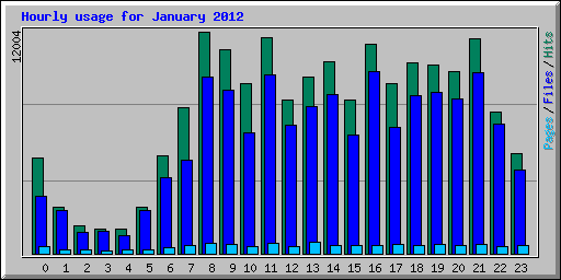 Hourly usage for January 2012